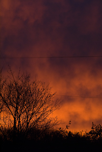 Fiery Dawn