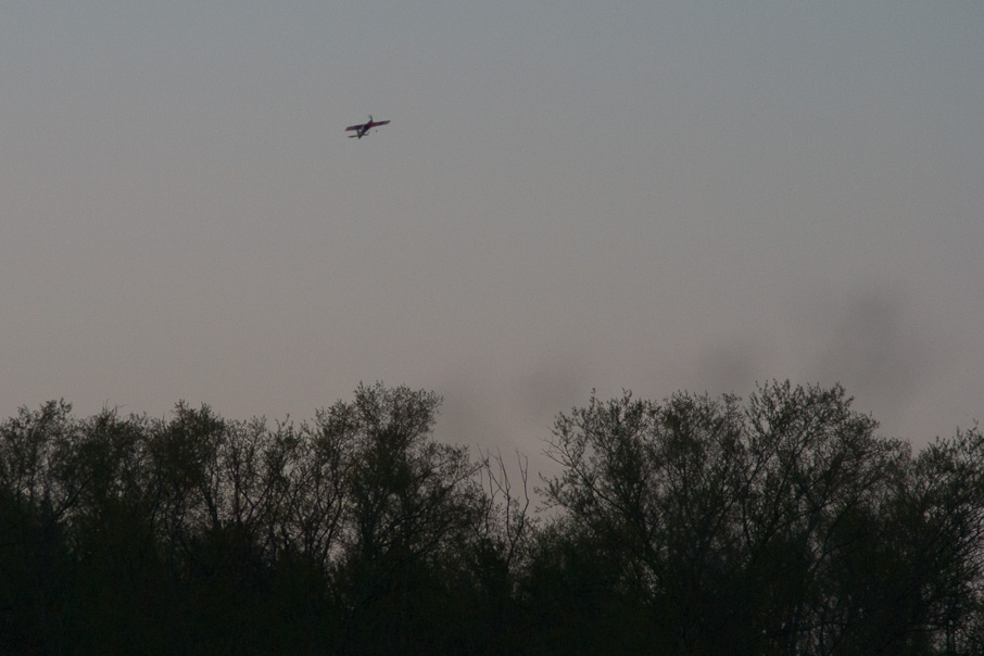 Plane, smoke and trees
