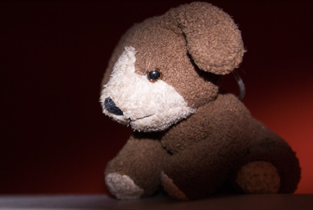 Plush dog looks at you
