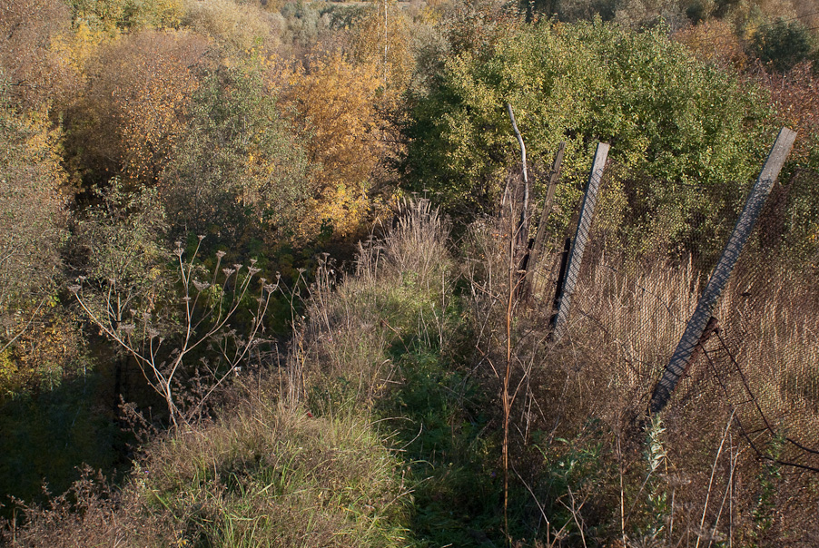 Autumn walk path upon the high river bank, many-coloured trees and weird fence